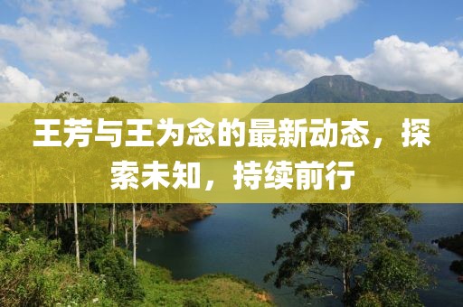 王芳与王为念的最新动态，探索未知，持续前行