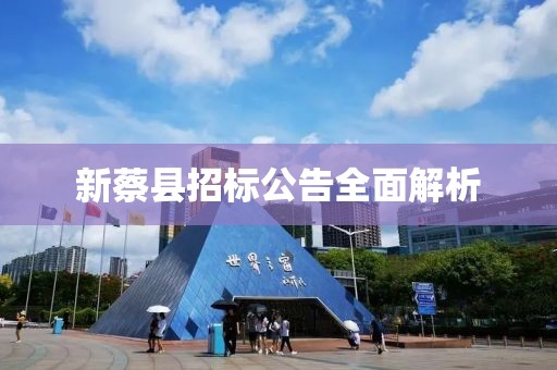 新蔡县招标公告全面解析