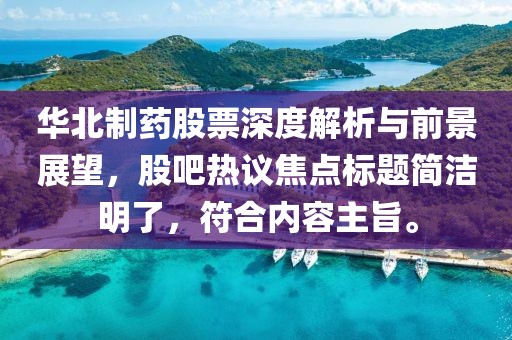 华北制药股票深度解析与前景展望，股吧热议焦点标题简洁明了，符合内容主旨。