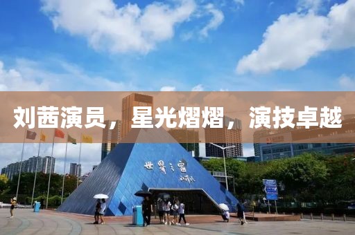 刘茜演员，星光熠熠，演技卓越