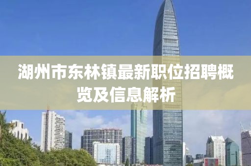 湖州市东林镇最新职位招聘概览及信息解析