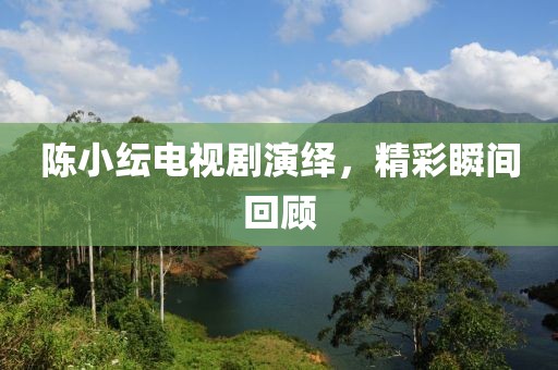 陈小纭电视剧演绎，精彩瞬间回顾