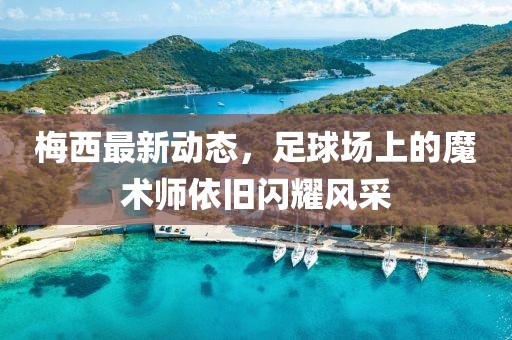 梅西最新动态，足球场上的魔术师依旧闪耀风采