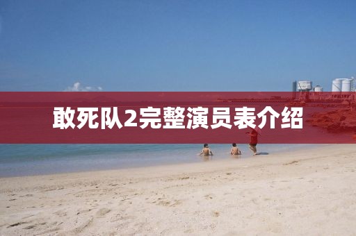 敢死队2完整演员表介绍