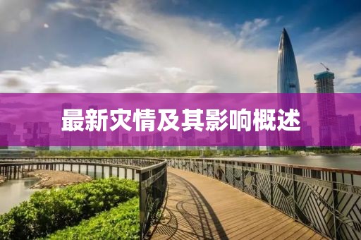 最新灾情及其影响概述