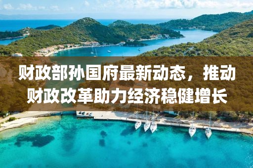 财政部孙国府最新动态，推动财政改革助力经济稳健增长