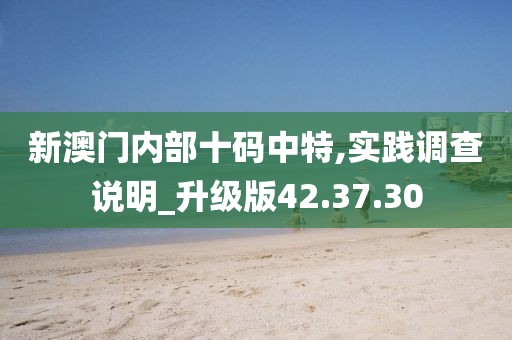 新澳门内部十码中特,实践调查说明_升级版42.37.30