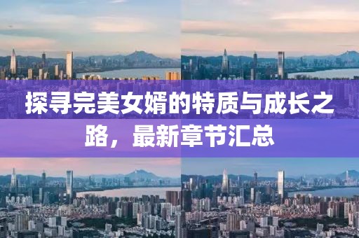 探寻完美女婿的特质与成长之路，最新章节汇总