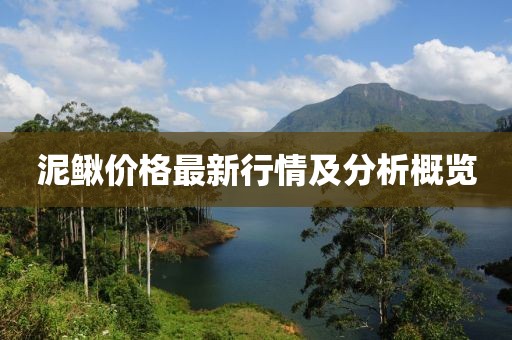 泥鳅价格最新行情及分析概览
