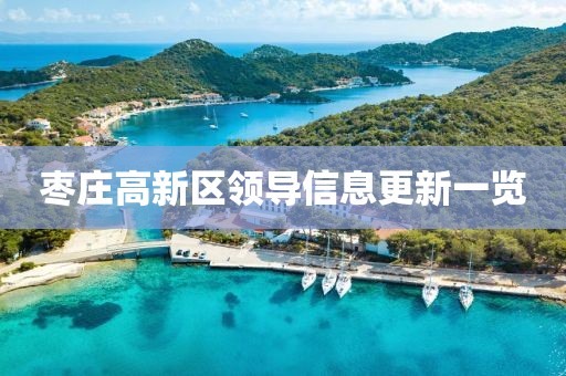 枣庄高新区领导信息更新一览
