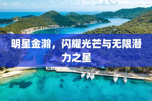 明星金瀚，闪耀光芒与无限潜力之星