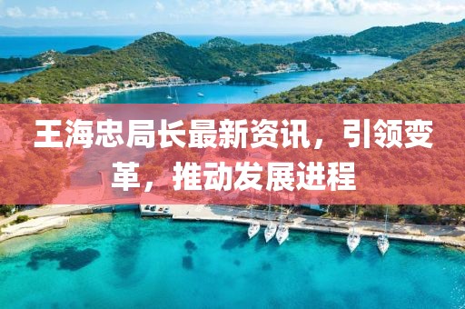 王海忠局长最新资讯，引领变革，推动发展进程