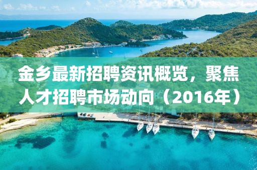 金乡最新招聘资讯概览，聚焦人才招聘市场动向（2016年）