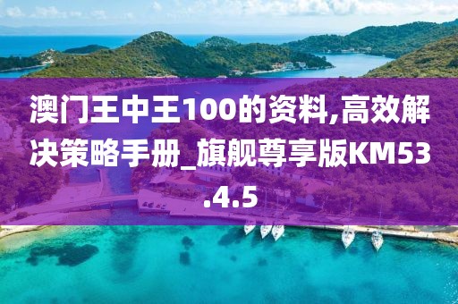 澳门王中王100的资料,高效解决策略手册_旗舰尊享版KM53.4.5