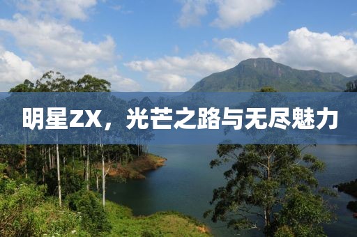 明星ZX，光芒之路与无尽魅力