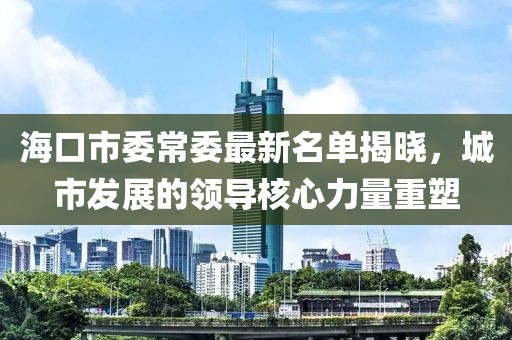 海口市委常委最新名单揭晓，城市发展的领导核心力量重塑