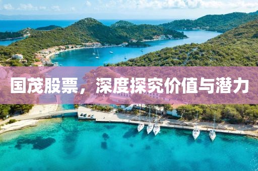 国茂股票，深度探究价值与潜力