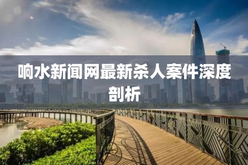 响水新闻网最新杀人案件深度剖析