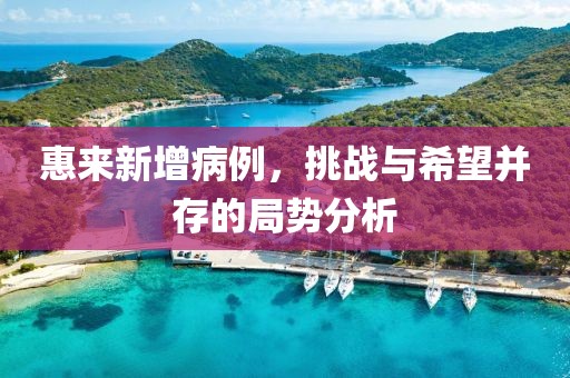 惠来新增病例，挑战与希望并存的局势分析