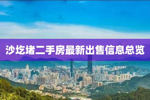 2025年2月