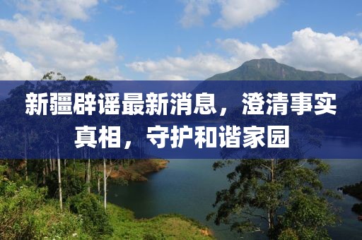 新疆辟谣最新消息，澄清事实真相，守护和谐家园
