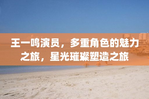 王一鸣演员，多重角色的魅力之旅，星光璀璨塑造之旅