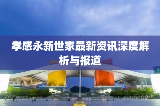 孝感永新世家最新资讯深度解析与报道