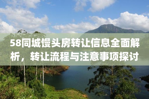 58同城馒头房转让信息全面解析，转让流程与注意事项探讨