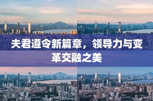夫君遵令新篇章，领导力与变革交融之美