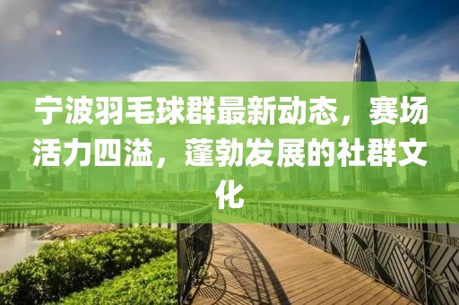 宁波羽毛球群最新动态，赛场活力四溢，蓬勃发展的社群文化