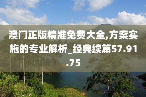 澳门正版精准免费大全,方案实施的专业解析_经典续篇57.91.75