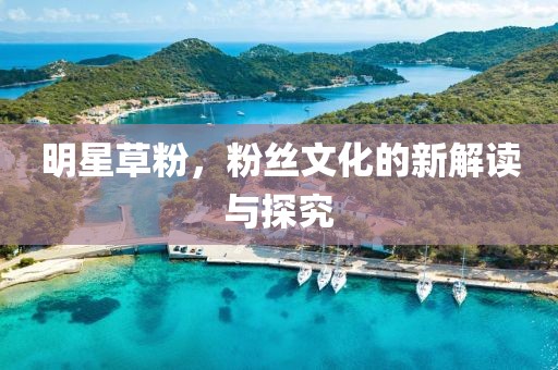 明星草粉，粉丝文化的新解读与探究