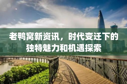 老鸭窝新资讯，时代变迁下的独特魅力和机遇探索
