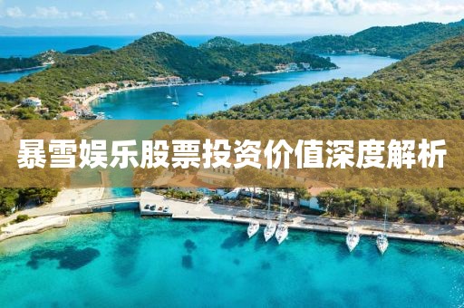暴雪娱乐股票投资价值深度解析