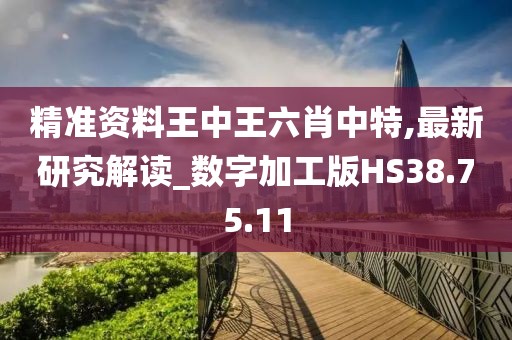精准资料王中王六肖中特,最新研究解读_数字加工版HS38.75.11