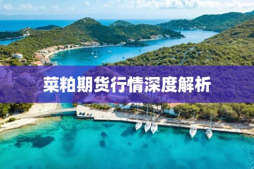 有个美女 第7页