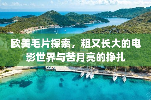 欧美毛片探索，粗又长大的电影世界与苦月亮的挣扎