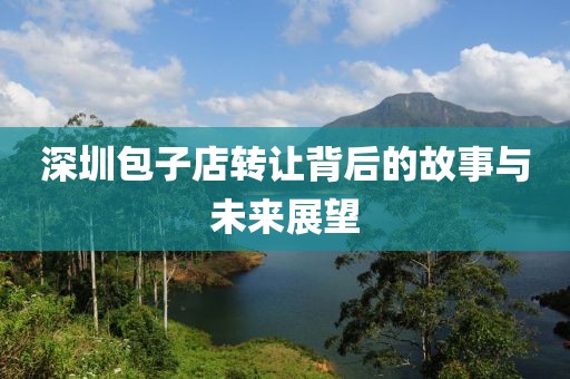 深圳包子店转让背后的故事与未来展望