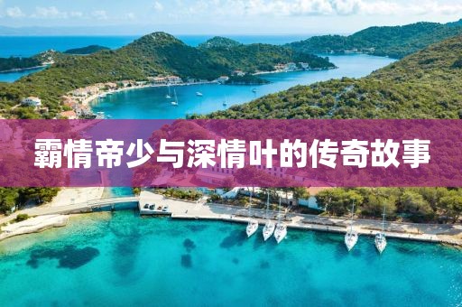 霸情帝少与深情叶的传奇故事