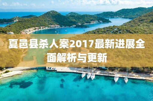 夏邑县杀人案2017最新进展全面解析与更新
