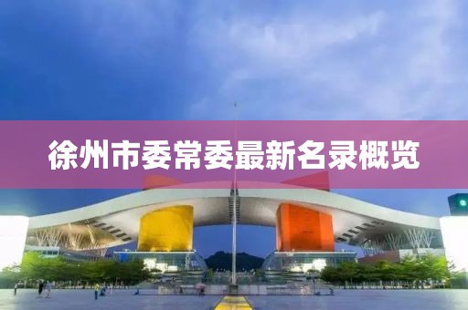 徐州市委常委最新名录概览