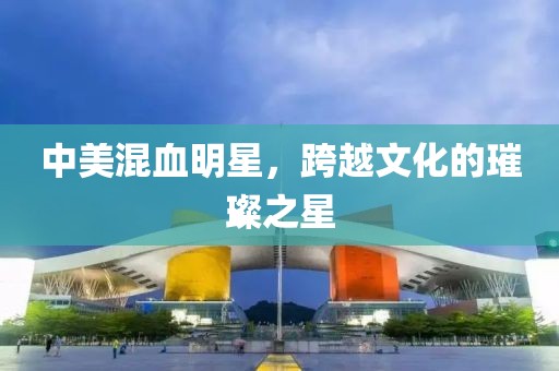 公司简介 第221页