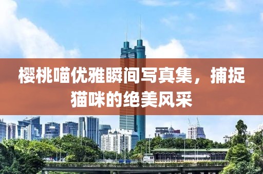 樱桃喵优雅瞬间写真集，捕捉猫咪的绝美风采
