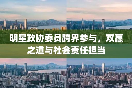 明星政协委员跨界参与，双赢之道与社会责任担当