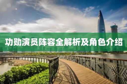 功勋演员阵容全解析及角色介绍