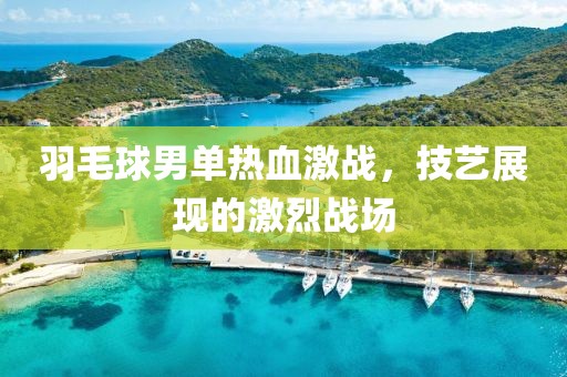 羽毛球男单热血激战，技艺展现的激烈战场