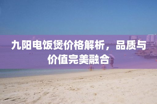 九阳电饭煲价格解析，品质与价值完美融合