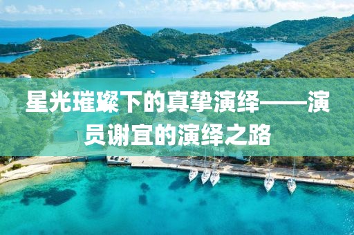 星光璀璨下的真挚演绎——演员谢宜的演绎之路