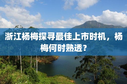 浙江杨梅探寻最佳上市时机，杨梅何时熟透？