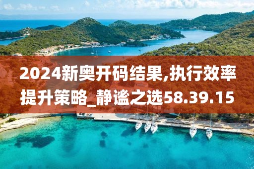 2024新奥开码结果,执行效率提升策略_静谧之选58.39.15